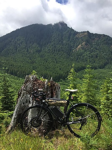ebike next to pine forest mountain.jpeg