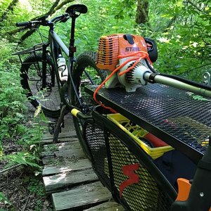 ebike with trailer in the woods.jpg